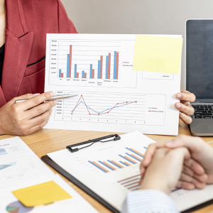 Sales Executive